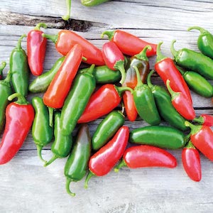 Hot Pepper: Jalapeno