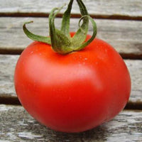 Tomato: Montreal Tasty